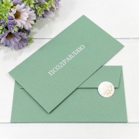 Конверт подарочный 16,9*9,4см 1311 1/10 1/250 Арт: 003013/11