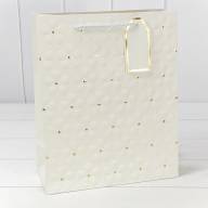 Пакет подарочный с тиснением "Цветочки" (микс) 26*32*12 210г 1/20 1/240 Арт: 000546C - Пакет подарочный с тиснением "Цветочки" (микс) 26*32*12 210г 1/20 1/240 Арт: 000546C