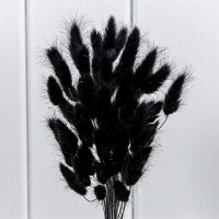 Сухоцветы "Лагурус" 60см (55±5 шт.) Чёрный 1/250 Арт: 420062/1